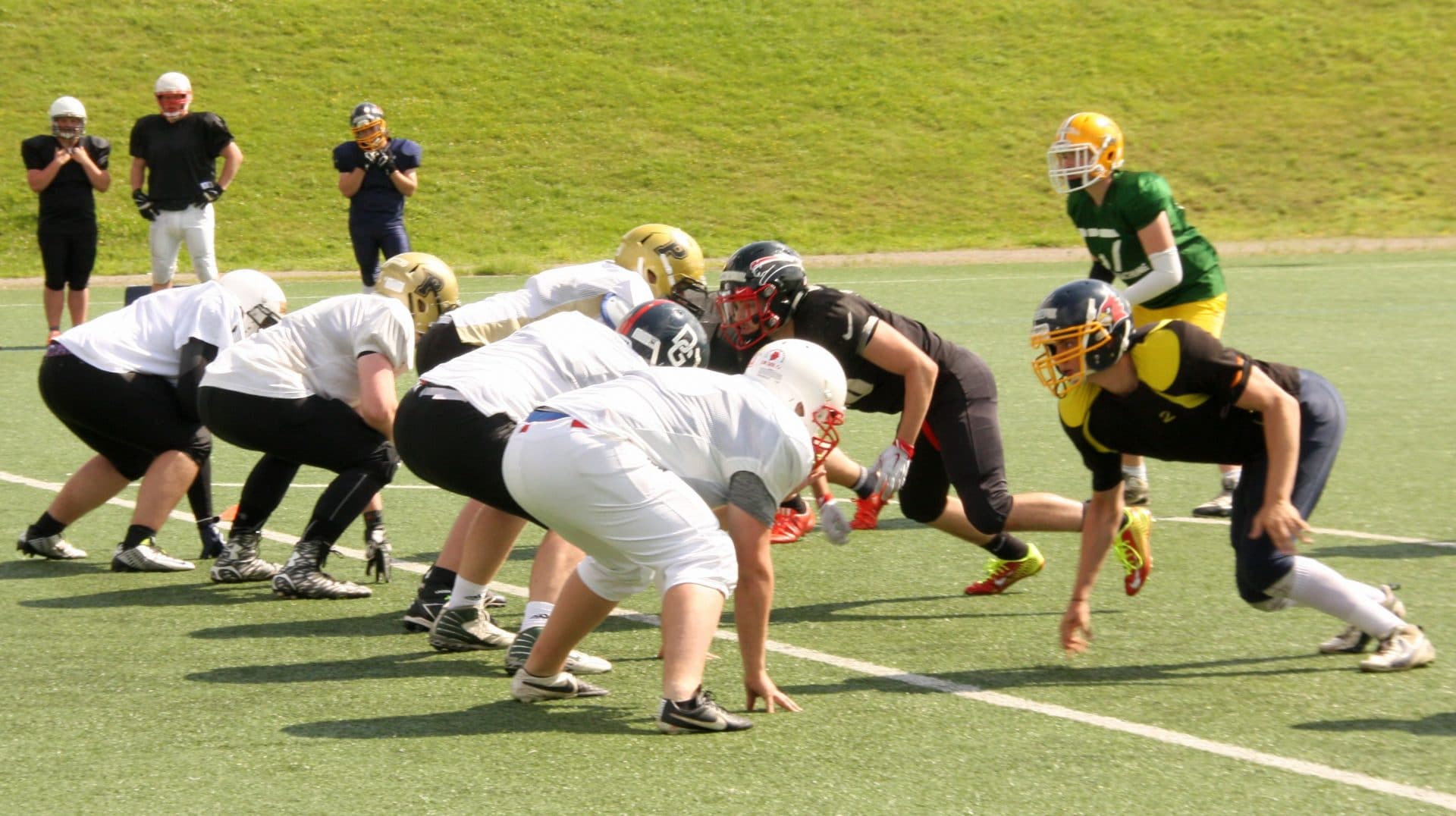 Krokodil und Panther auf einer Seite des Balls - die GreenMachine macht es möglich Foto: Andreas Heinen (AFCVNRW)